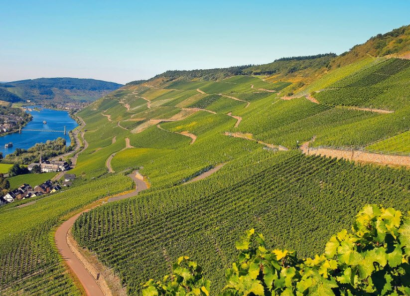 Weingut Schloss Schönberg, Germany